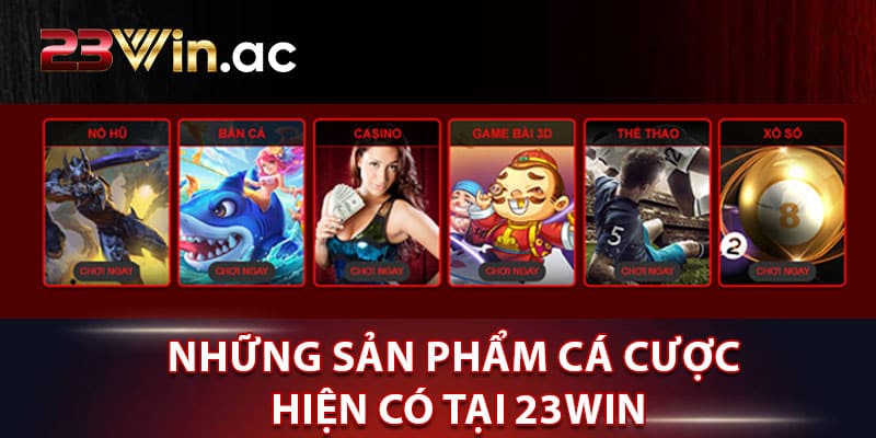 những sản phẩm cá cược hiện có tại 23WIN